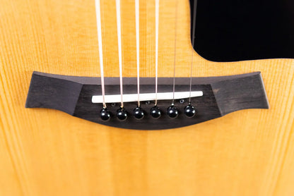 Taylor 214ce Plus Grand Auditorium Acoustic/Electric Guitar with Aerocase
