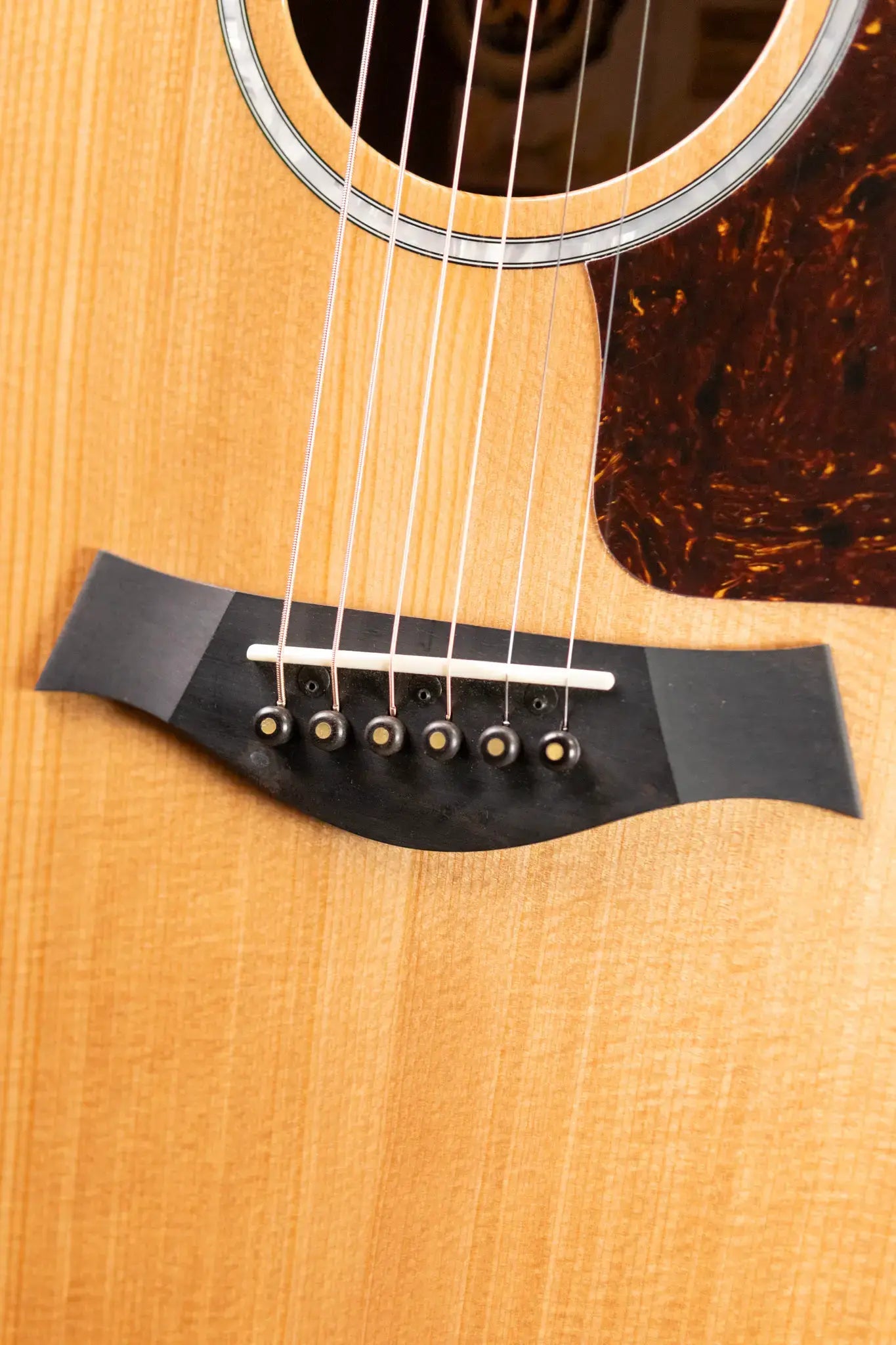 Taylor 214ce Plus LTD 50th Anniversary Grand Auditorium Acoustic/Electric with Aerocase