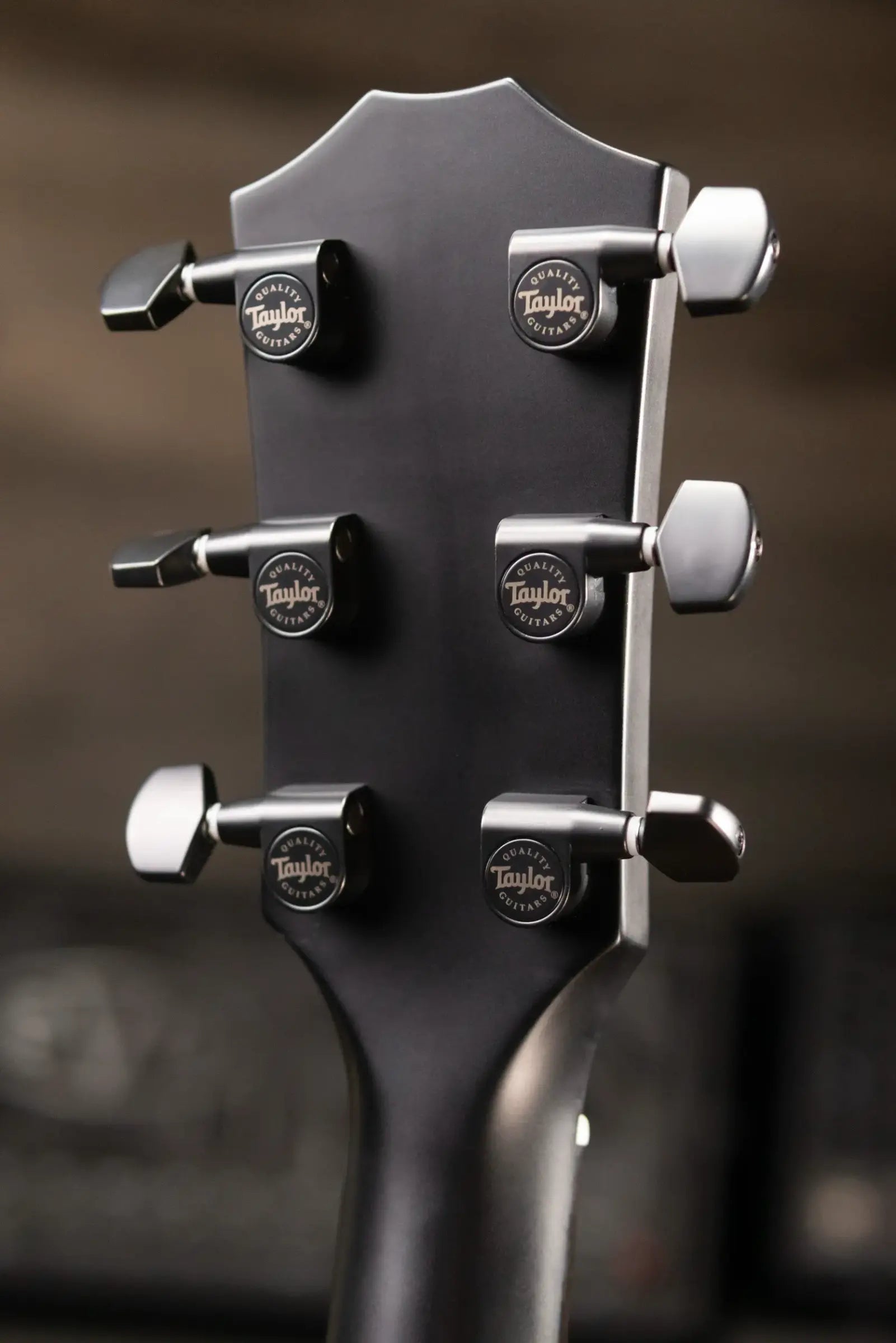 Taylor 214ce Plus Special Edition Grand Auditorium Acoustic/Electric Guitar - Trans Blue Top with Aerocase