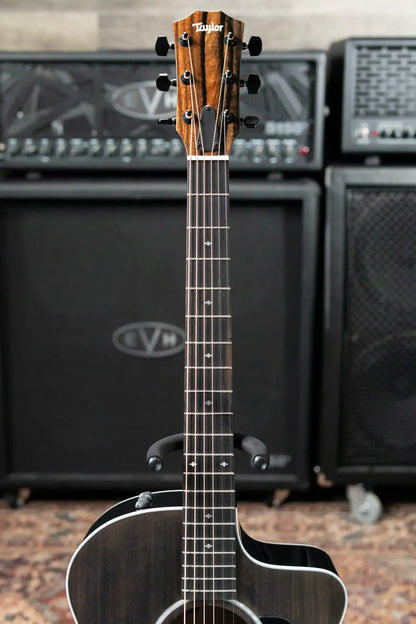 Taylor 214ce Plus Special Edition Grand Auditorium Acoustic/Electric Guitar - Trans Grey Top with Aerocase