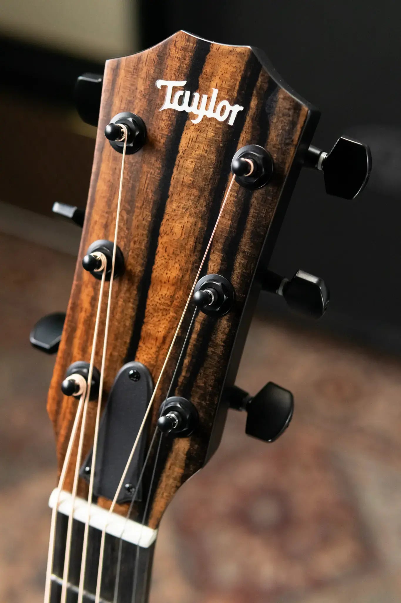 Taylor 214ce Plus Special Edition Grand Auditorium Acoustic/Electric Guitar - Trans Grey Top with Aerocase