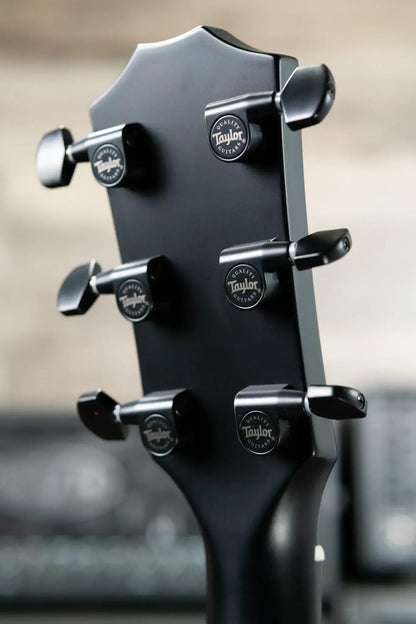 Taylor 214ce Plus Special Edition Grand Auditorium Acoustic/Electric Guitar - Trans Grey Top with Aerocase