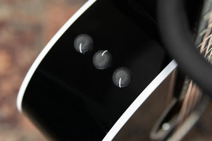 Taylor 214ce Plus Special Edition Grand Auditorium Acoustic/Electric Guitar - Trans Grey Top with Aerocase