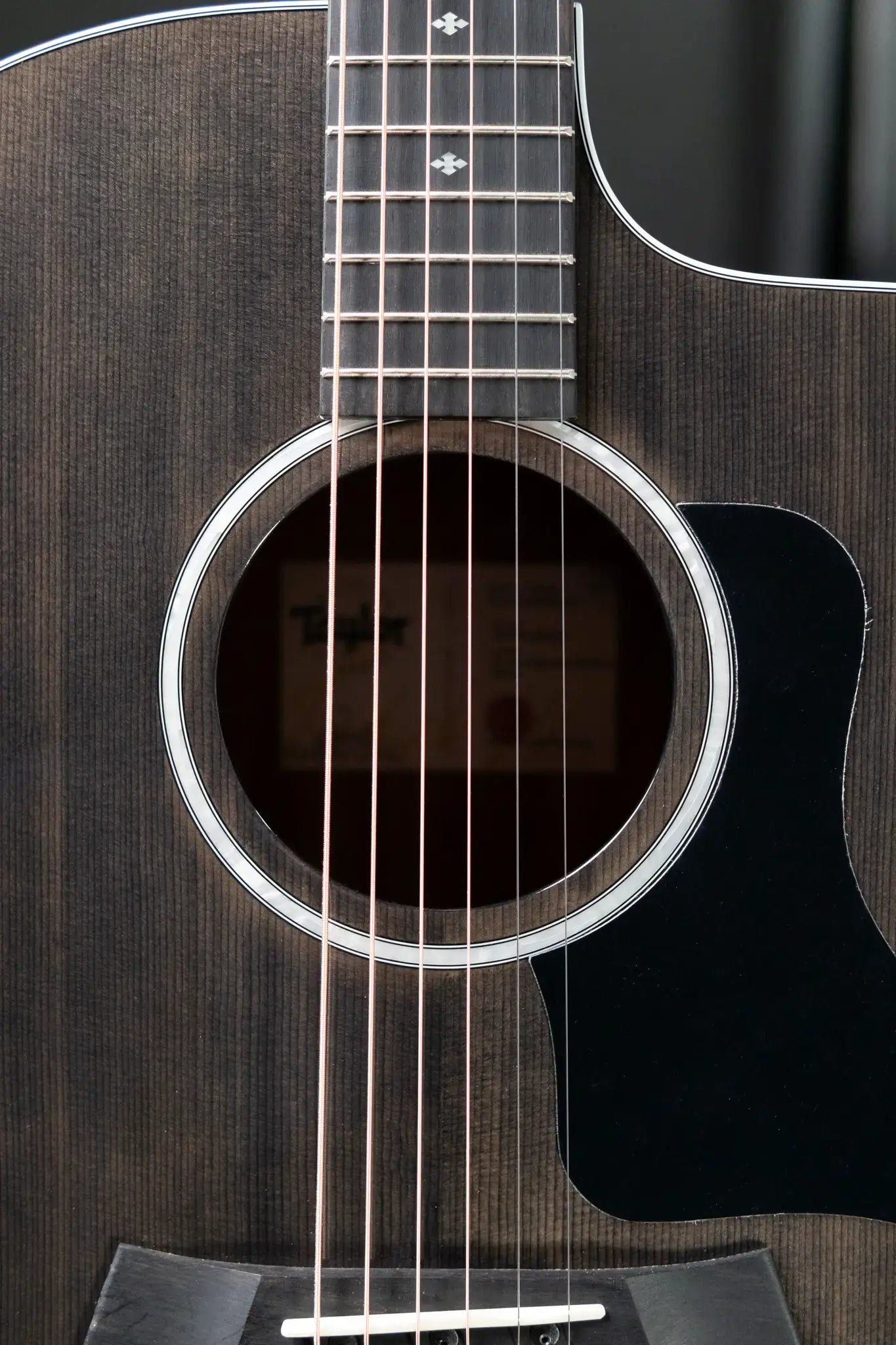 Taylor 214ce Plus Special Edition Grand Auditorium Acoustic/Electric Guitar - Trans Grey Top with Aerocase