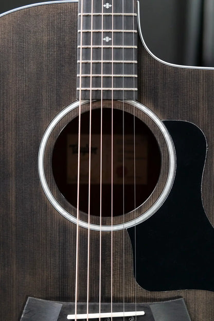 Taylor 214ce Plus Special Edition Grand Auditorium Acoustic/Electric Guitar - Trans Grey Top with Aerocase