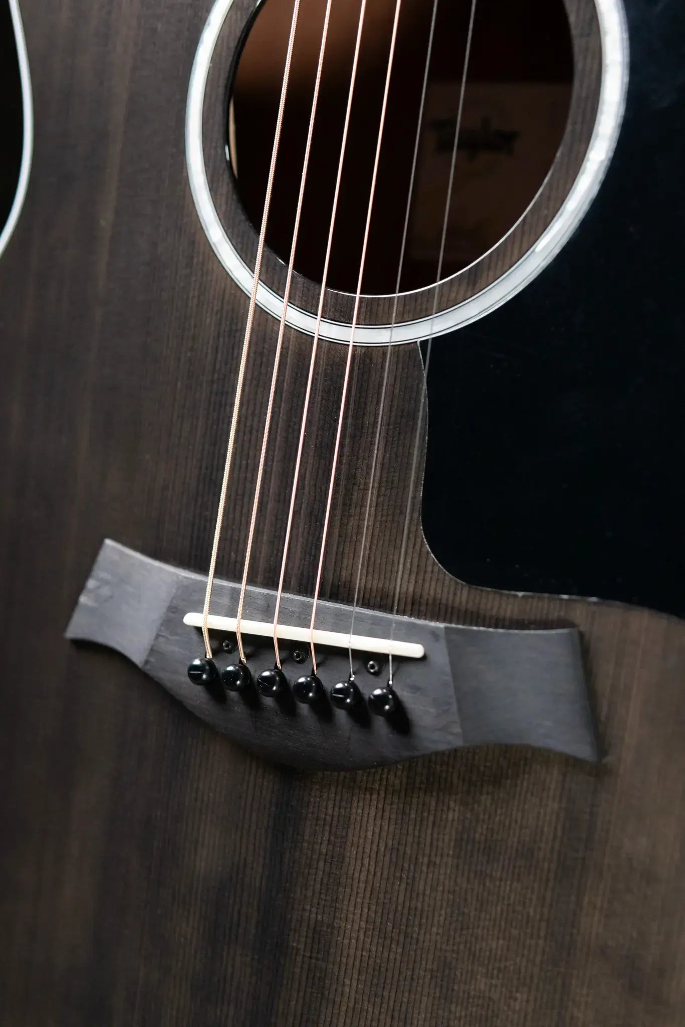 Taylor 214ce Plus Special Edition Grand Auditorium Acoustic/Electric Guitar - Trans Grey Top with Aerocase