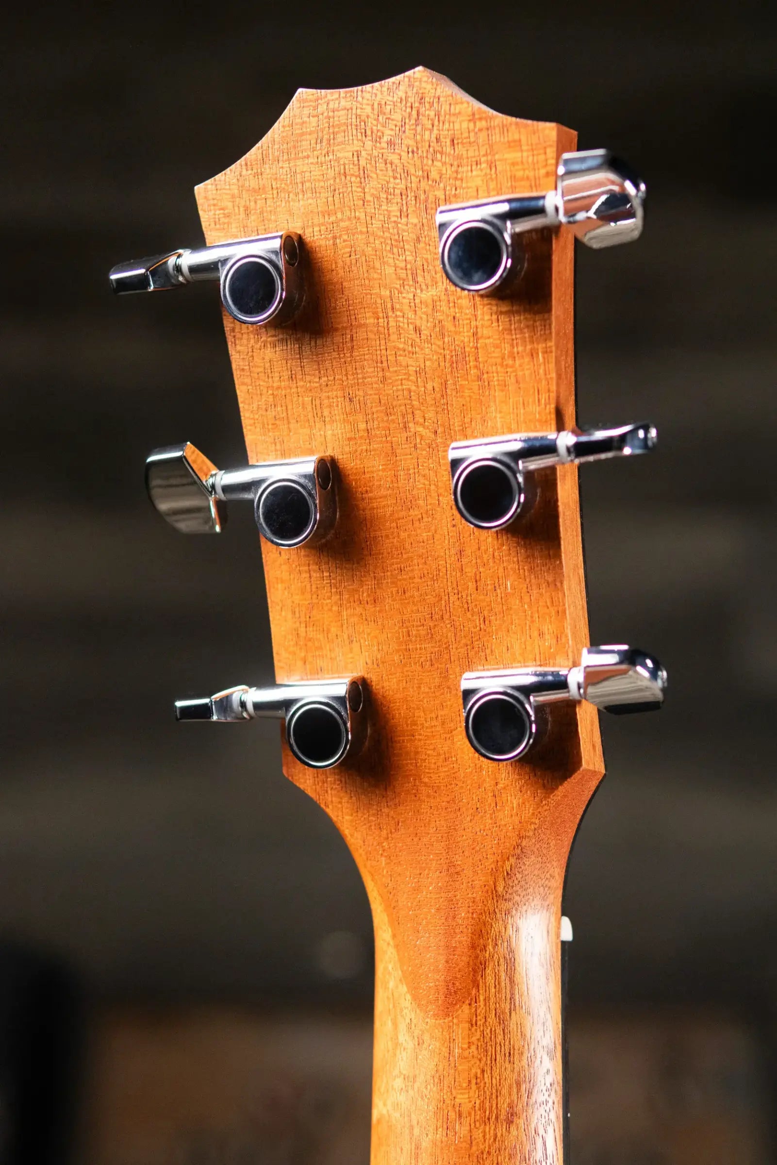 Taylor 214ce Special Edition Grand Auditorium Acoustic/Electric Guitar - Honeyburst with Gig Bag