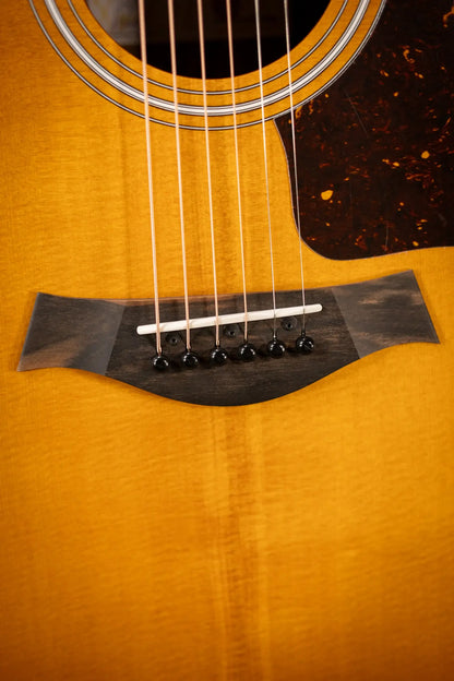 Taylor 214ce Special Edition Grand Auditorium Acoustic/Electric Guitar - Honeyburst with Gig Bag - Demo