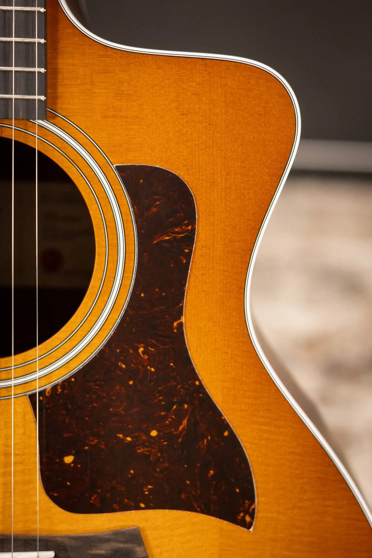 Taylor 214ce Special Edition Grand Auditorium Acoustic/Electric Guitar - Honeyburst with Gig Bag - Demo