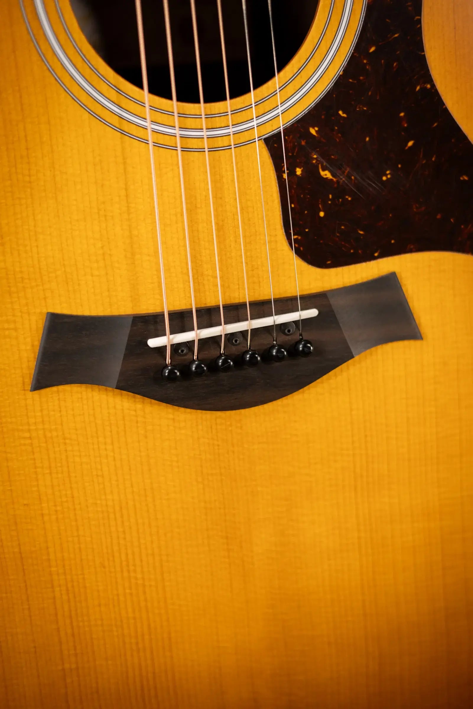 Taylor 214ce Special Edition Grand Auditorium Acoustic/Electric Guitar - Honeyburst with Gig Bag