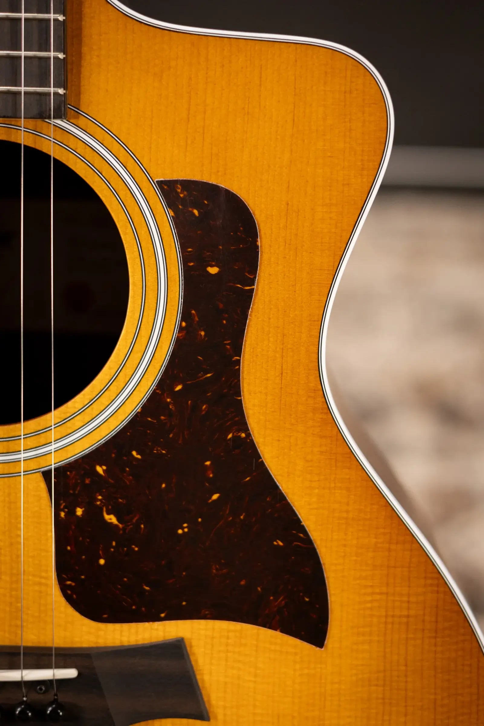 Taylor 214ce Special Edition Grand Auditorium Acoustic/Electric Guitar - Honeyburst with Gig Bag