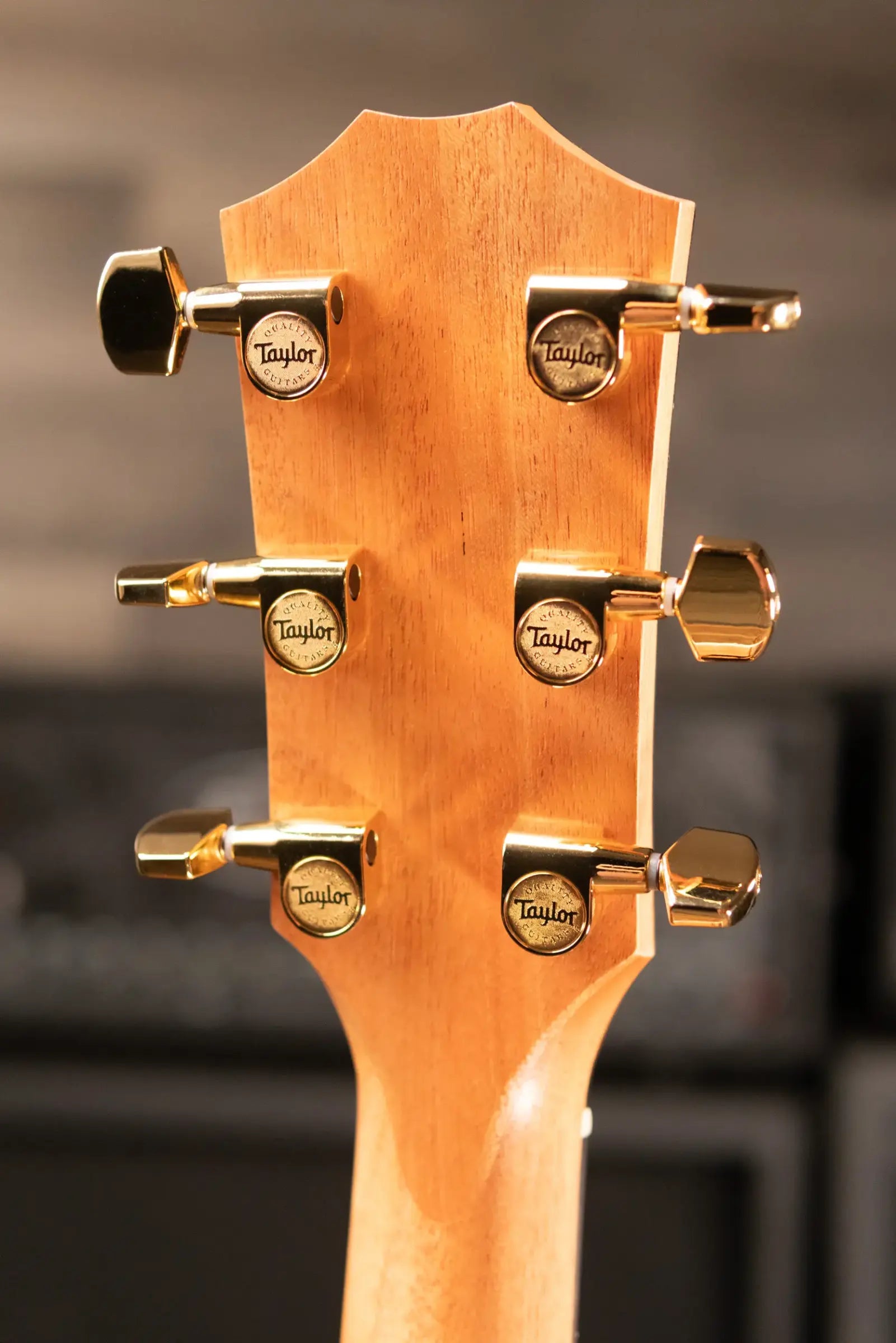 Taylor 214ce Special Edition Grand Autorium Acoustic/Electric Guitar - Satin Tigerwood with Hardshell Case