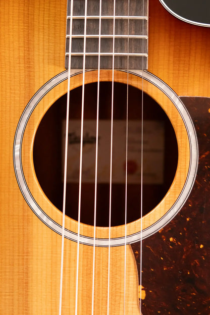 Taylor 214ce Special Edition Grand Autorium Acoustic/Electric Guitar - Satin Tigerwood with Hardshell Case