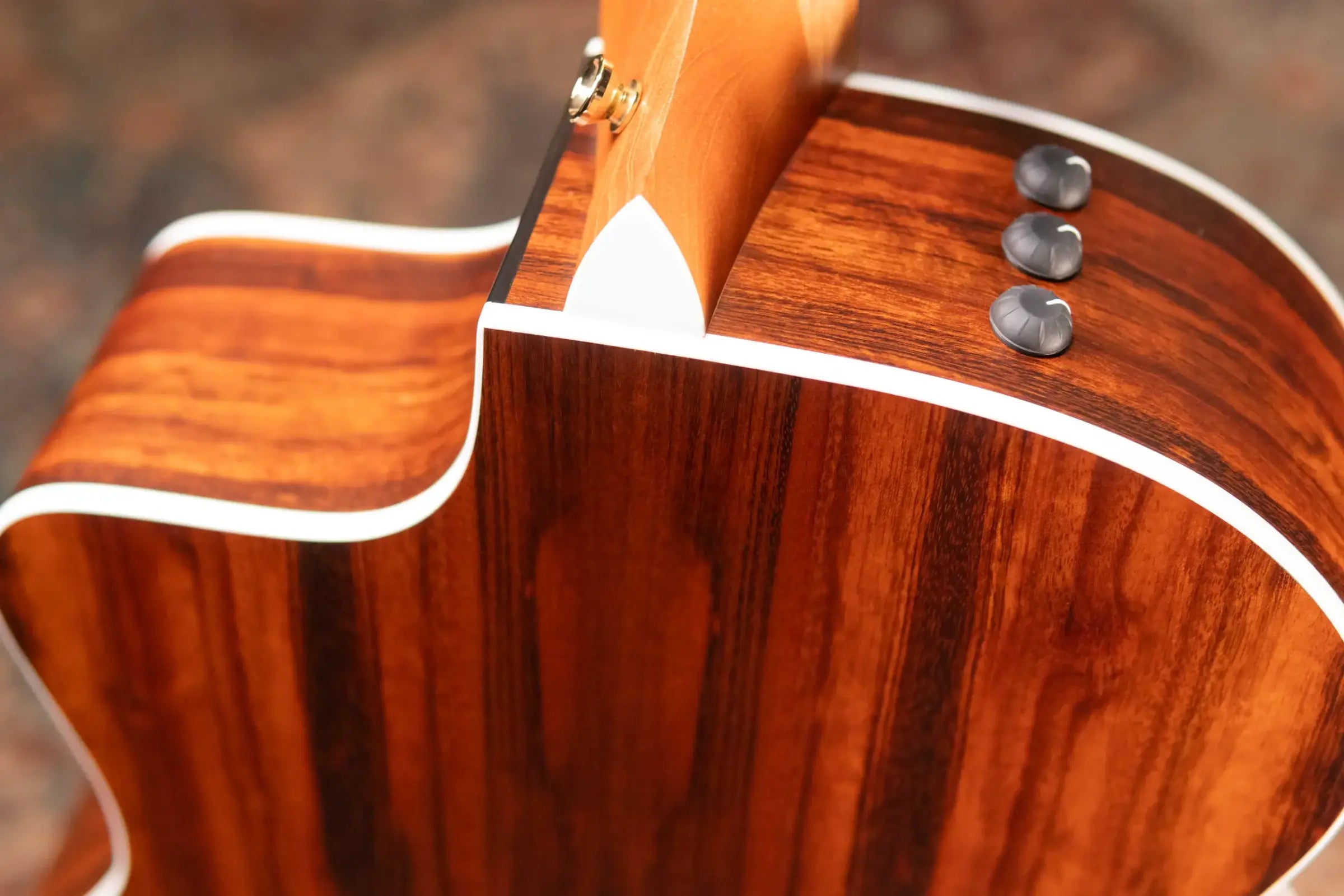 Taylor 214ce Special Edition Grand Autorium Acoustic/Electric Guitar - Satin Tigerwood with Hardshell Case