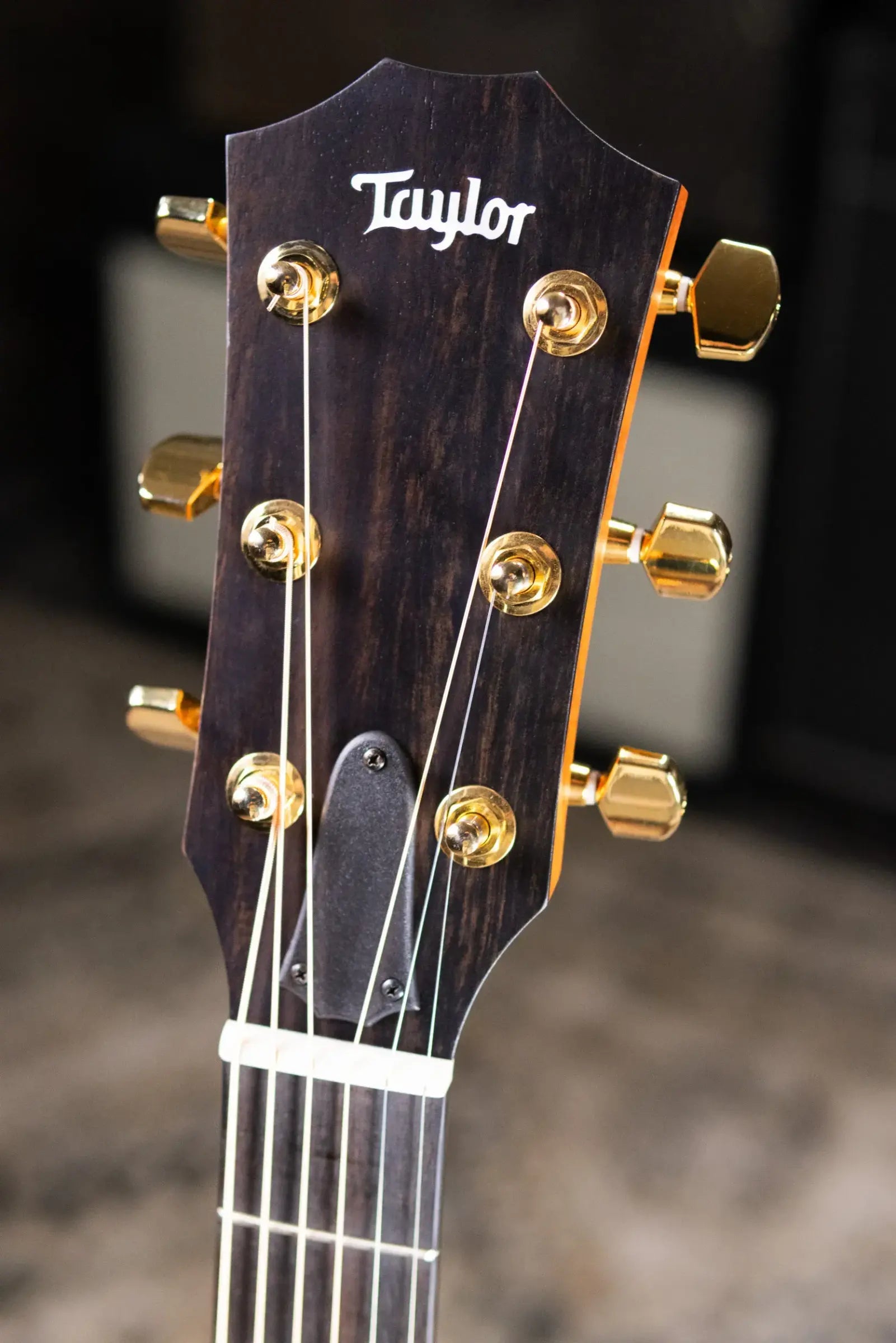 Taylor 214ce Sunset Blvd Grand Auditorium Acoustic/Electric Guitar - Sepia Burst with Gig Bag