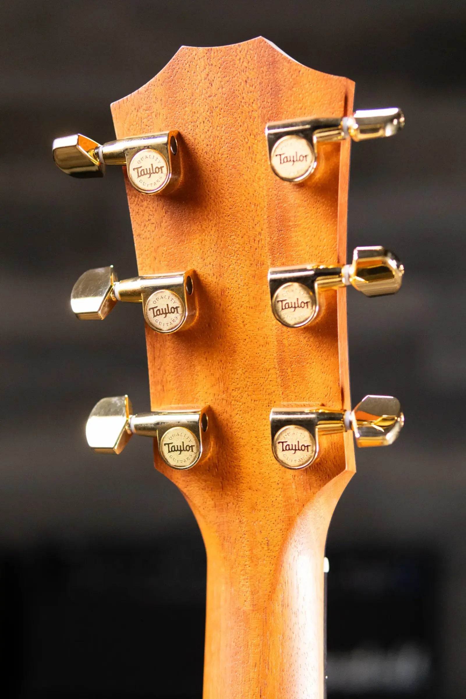 Taylor 214ce Sunset Blvd Grand Auditorium Acoustic/Electric Guitar - Sepia Burst with Gig Bag