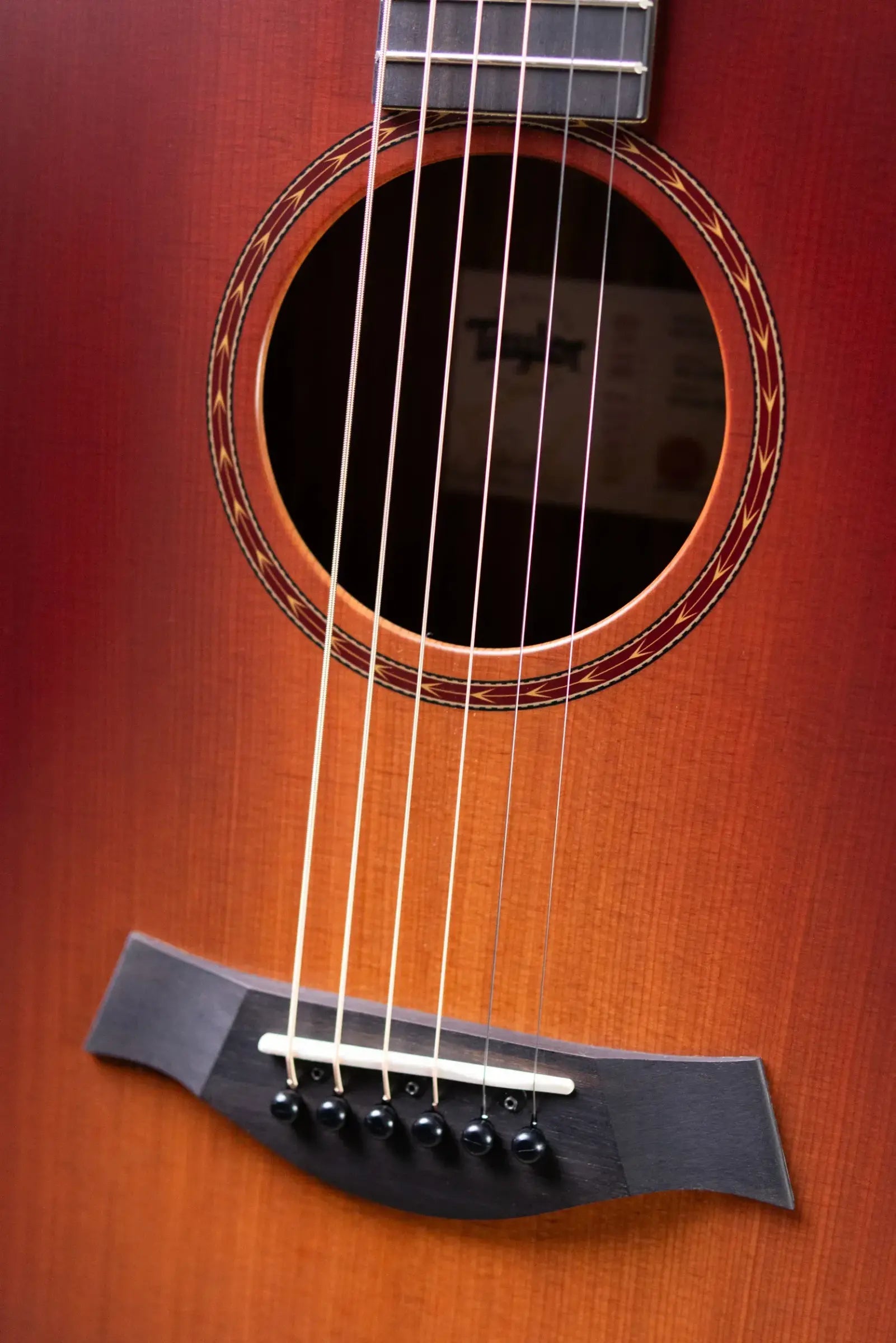 Taylor 214ce Sunset Blvd Grand Auditorium Acoustic/Electric Guitar - Sepia Burst with Gig Bag