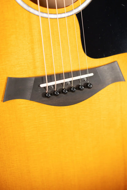 Taylor 217e Plus Special Edition Grand Pacific Acoustic/Electric Guitar - Honeyburst with Aerocase