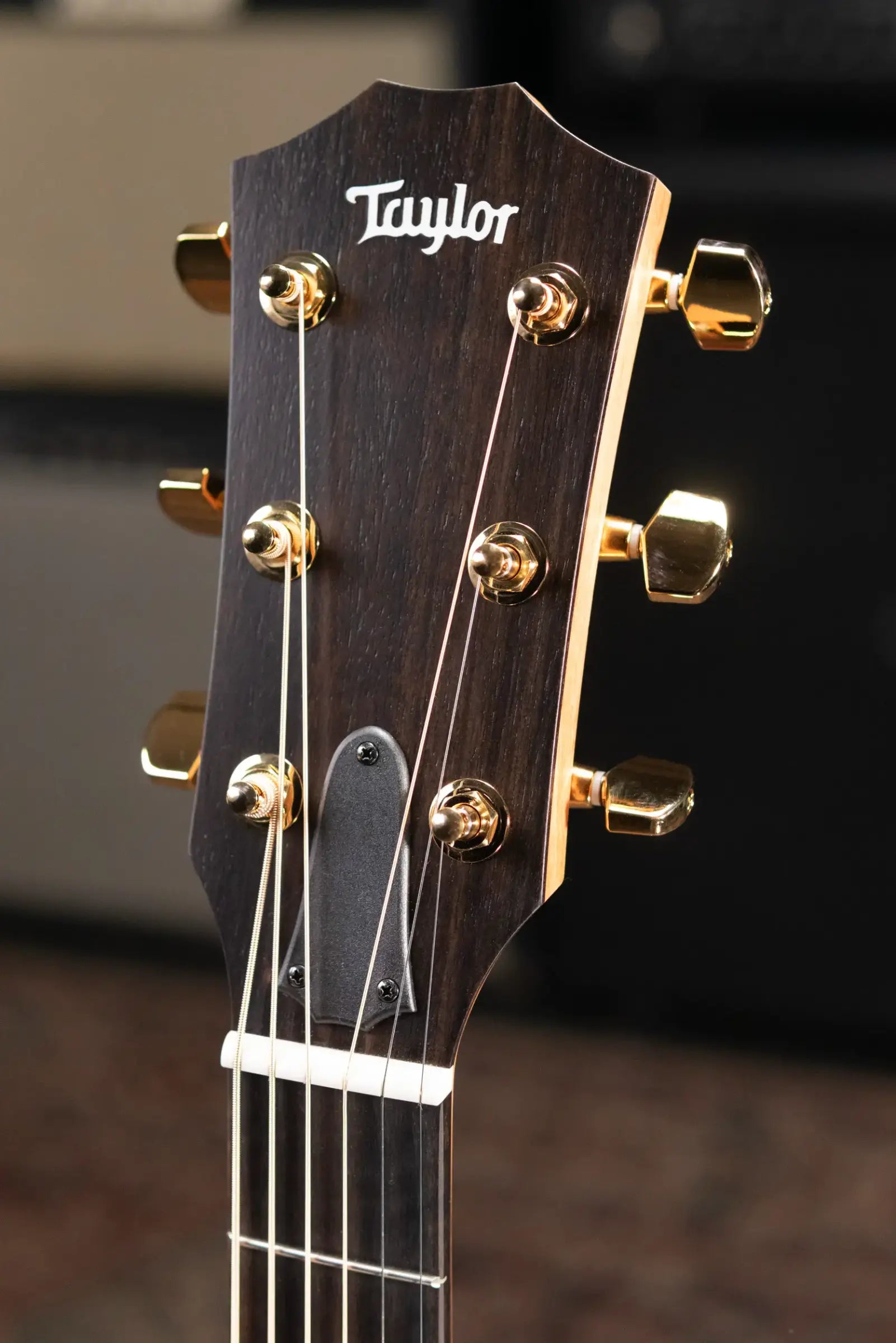 Taylor 224ce-K DLX Grand Auditorium Acoustic/Electric Guitar - Shaded Edgeburst with Hardshell Case