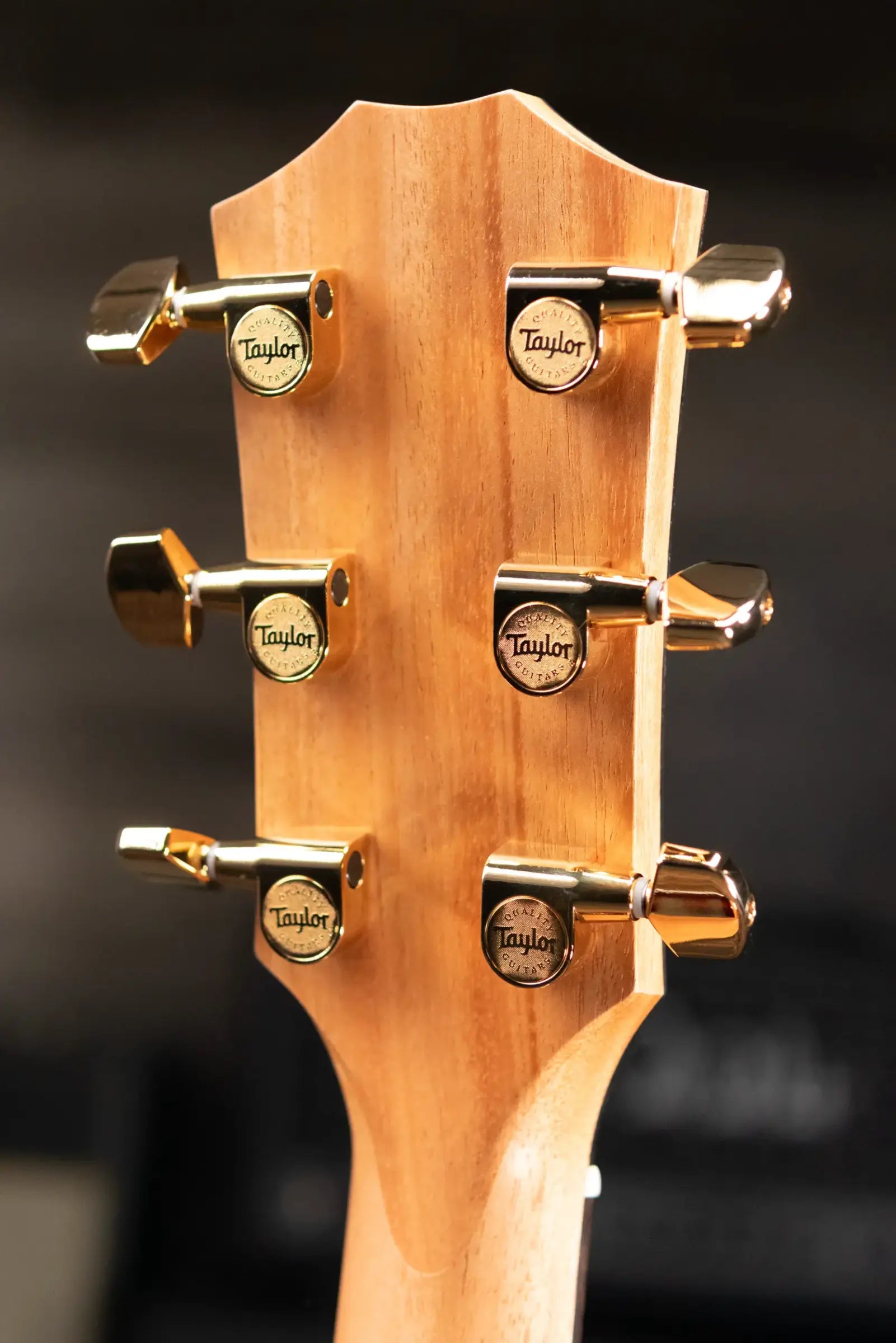 Taylor 224ce-K DLX Grand Auditorium Acoustic/Electric Guitar - Shaded Edgeburst with Hardshell Case