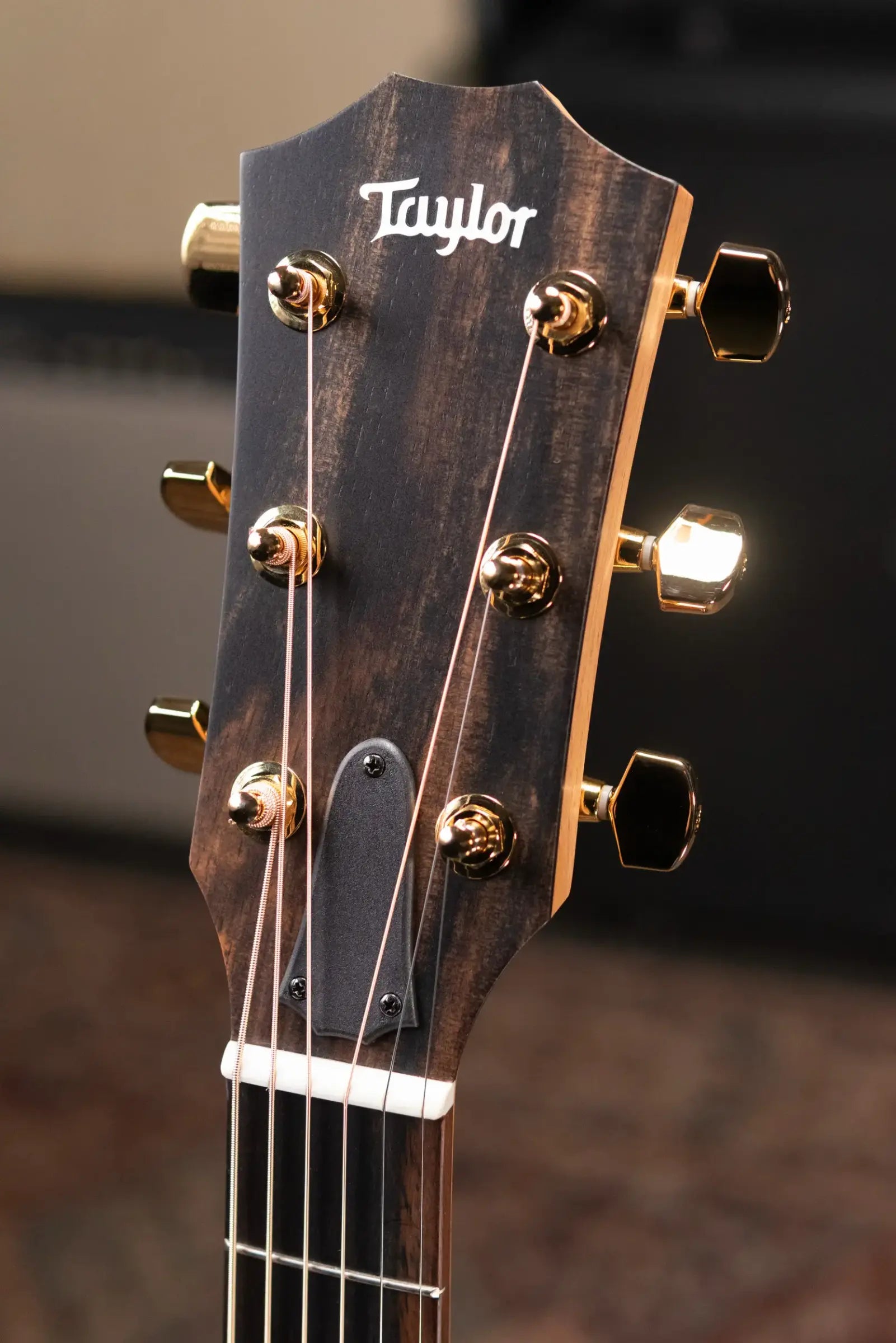 Taylor 224ce-K DLX Grand Auditorium Acoustic/Electric Guitar - Shaded Edgeburst with Hardshell Case