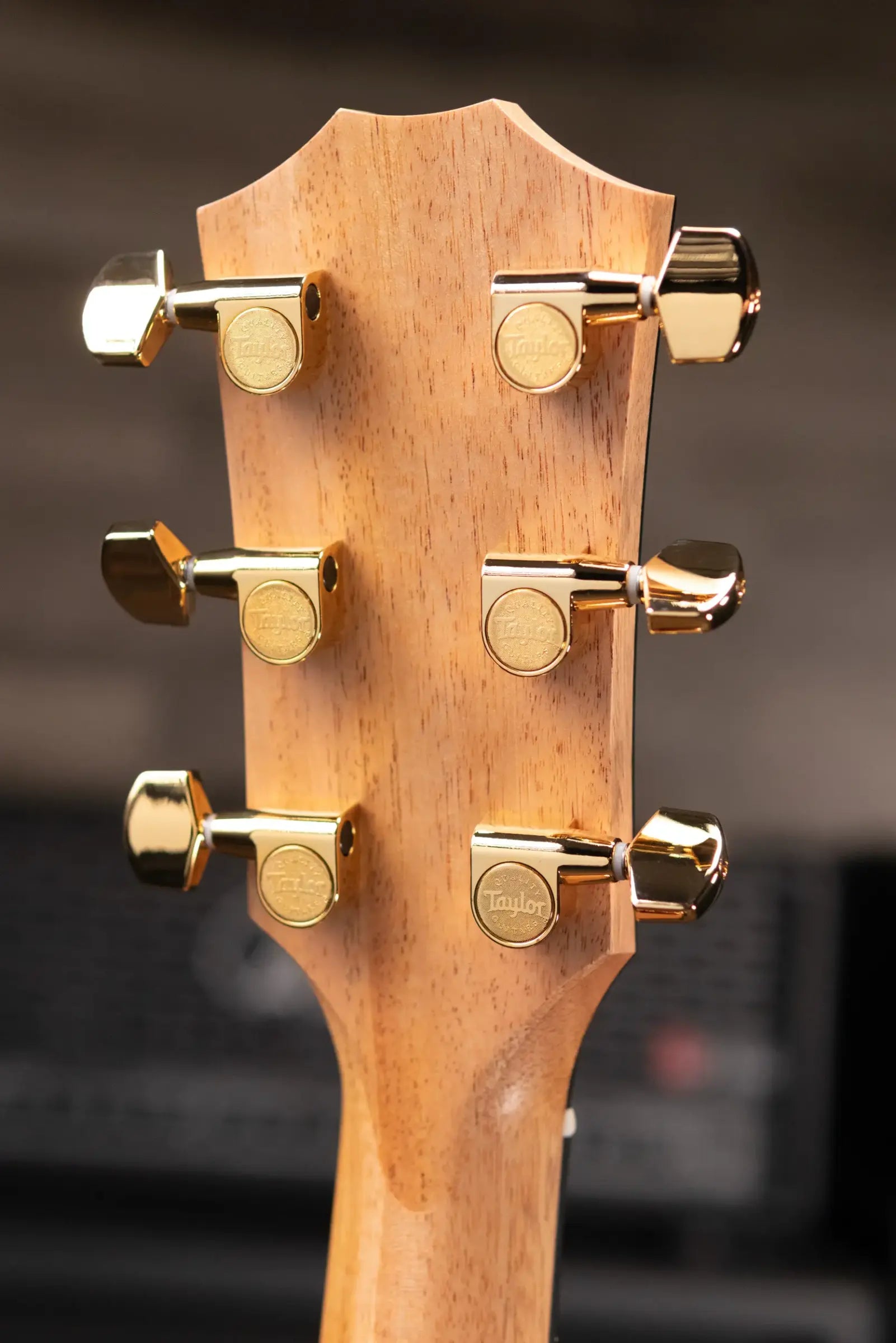 Taylor 224ce-K DLX Grand Auditorium Acoustic/Electric Guitar - Shaded Edgeburst with Hardshell Case