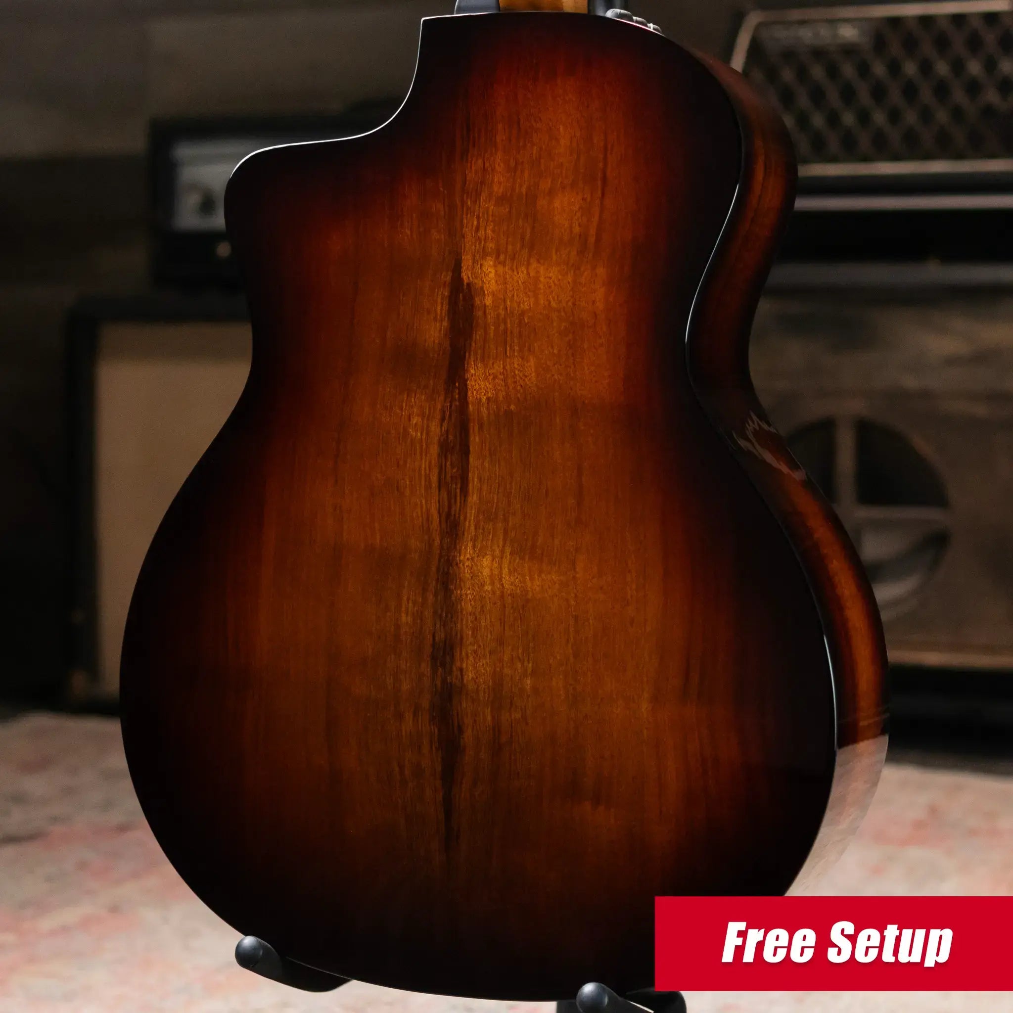 Taylor 224ce-K DLX Grand Auditorium Acoustic/Electric Guitar with Hardshell Case - Factory Demo