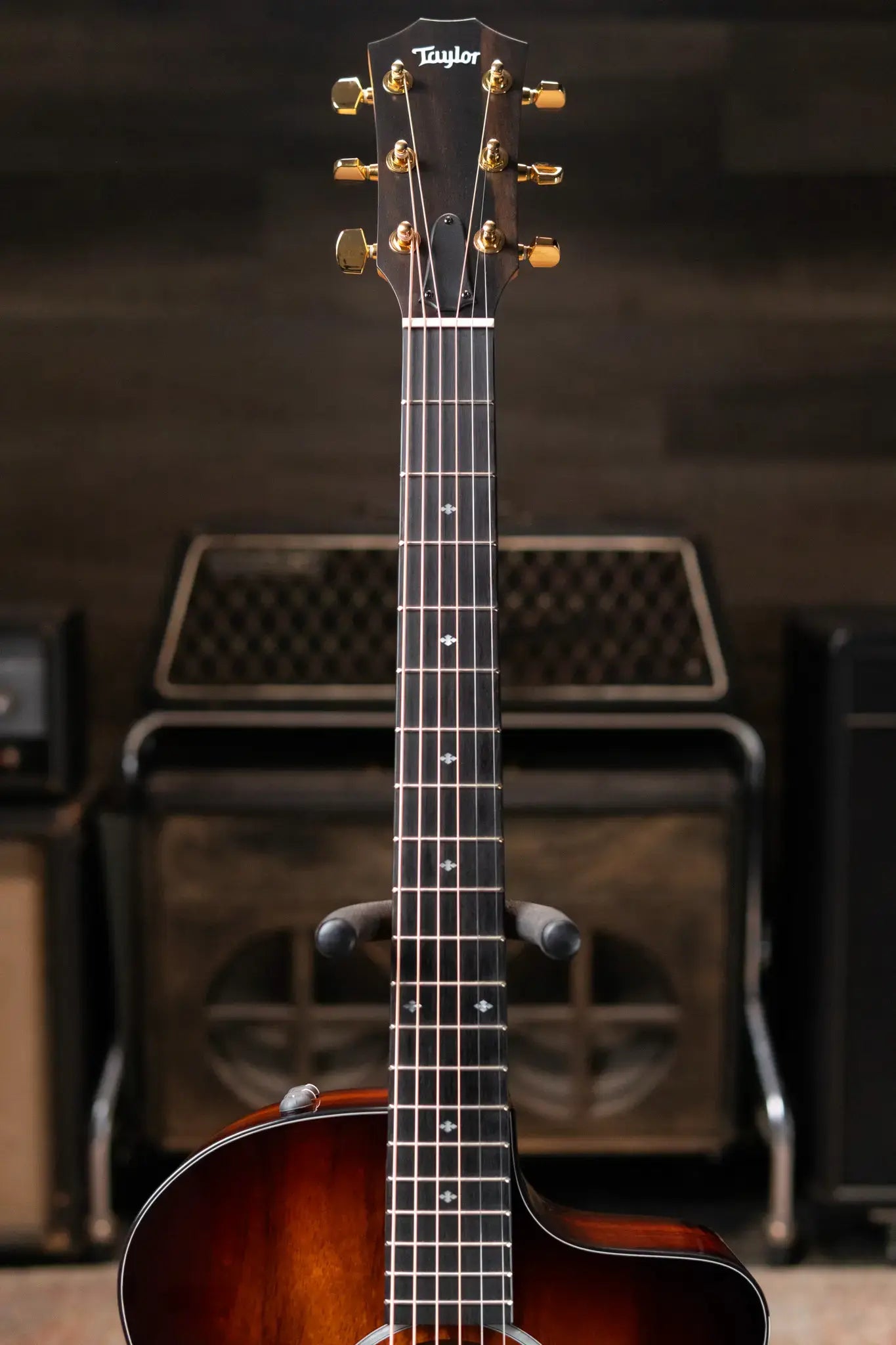 Taylor 224ce-K DLX Grand Auditorium Acoustic/Electric Guitar with Hardshell Case - Factory Demo