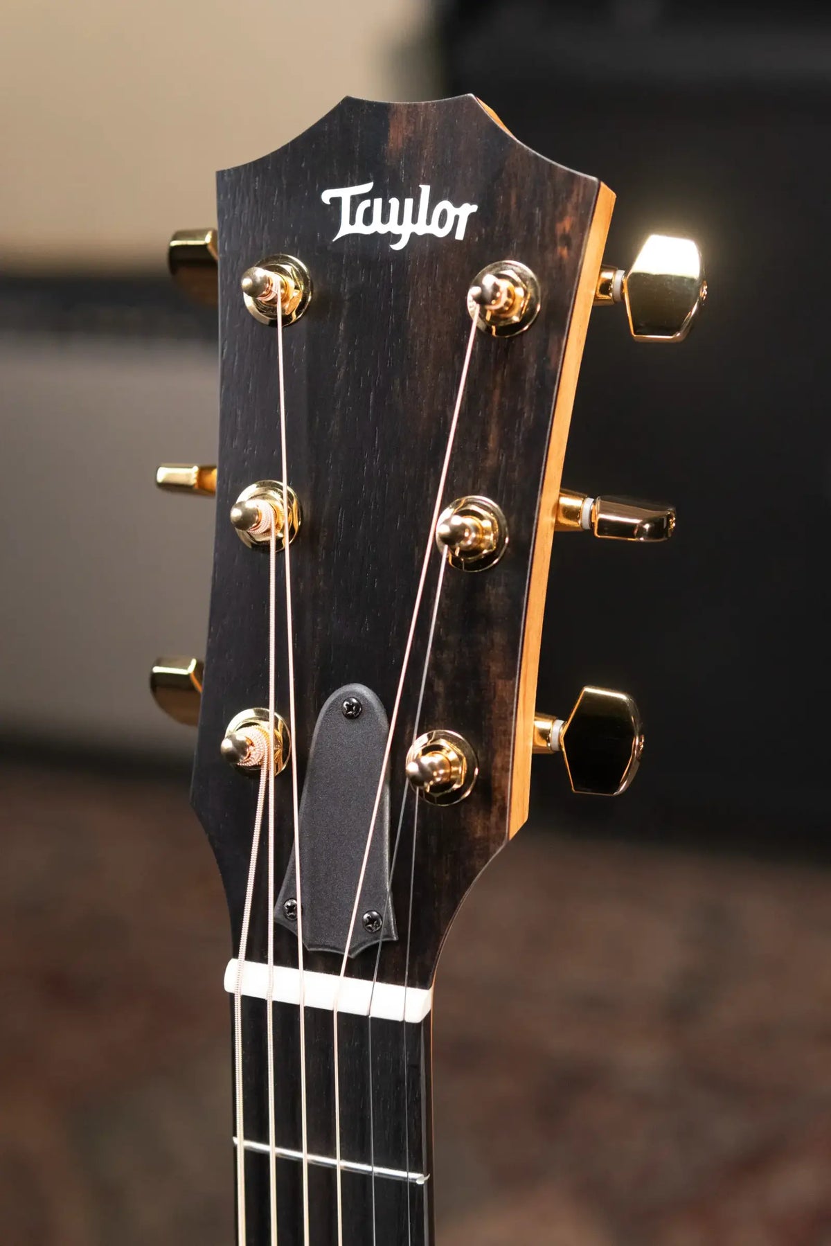 Taylor 224ce-K DLX Grand Auditorium Acoustic/Electric Guitar with Hardshell Case - Display Model