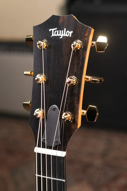 Taylor 224ce-K DLX Grand Auditorium Acoustic/Electric Guitar with Hardshell Case - Display Model