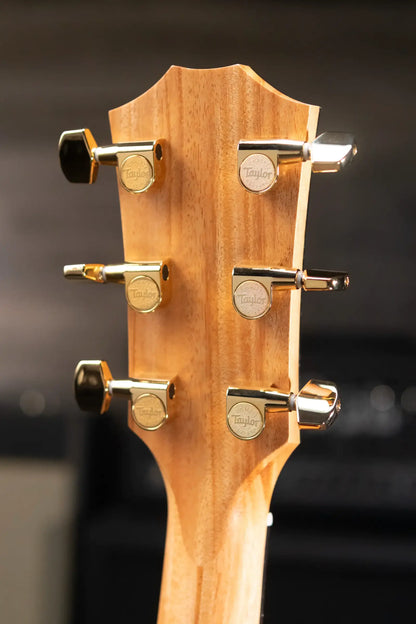 Taylor 224ce-K DLX Grand Auditorium Acoustic/Electric Guitar with Hardshell Case - Display Model