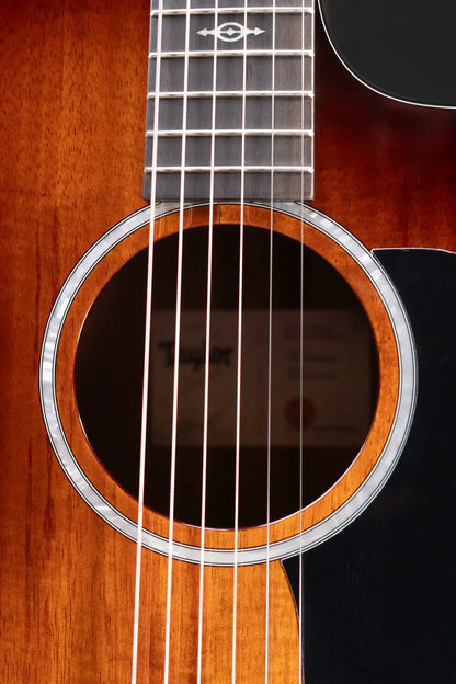 Taylor 224ce-K DLX Grand Auditorium Acoustic/Electric Guitar with Hardshell Case - Display Model
