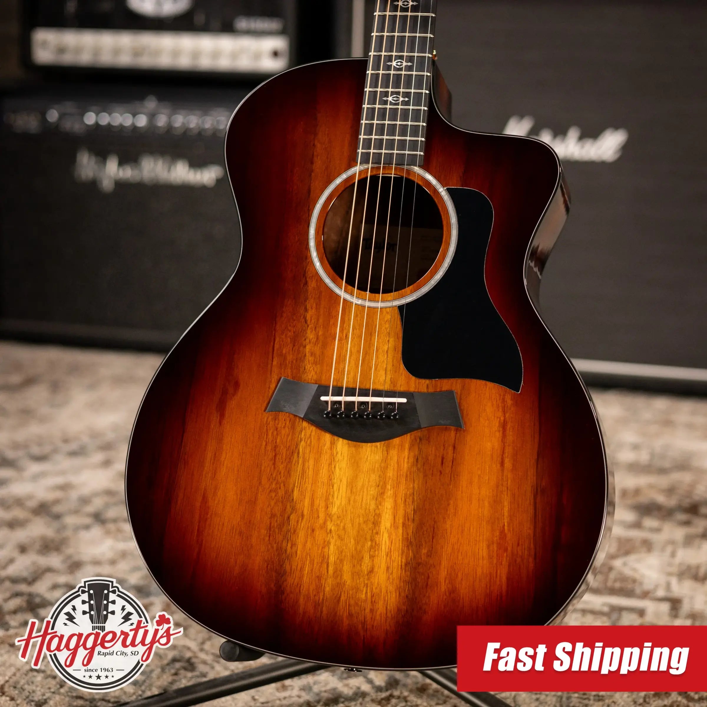 Taylor 224ce-K DLX Grand Auditorium Acoustic/Electric Guitar with Hardshell Case