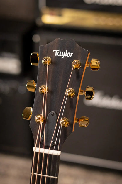 Taylor 224ce-K DLX Grand Auditorium Acoustic/Electric Guitar with Hardshell Case