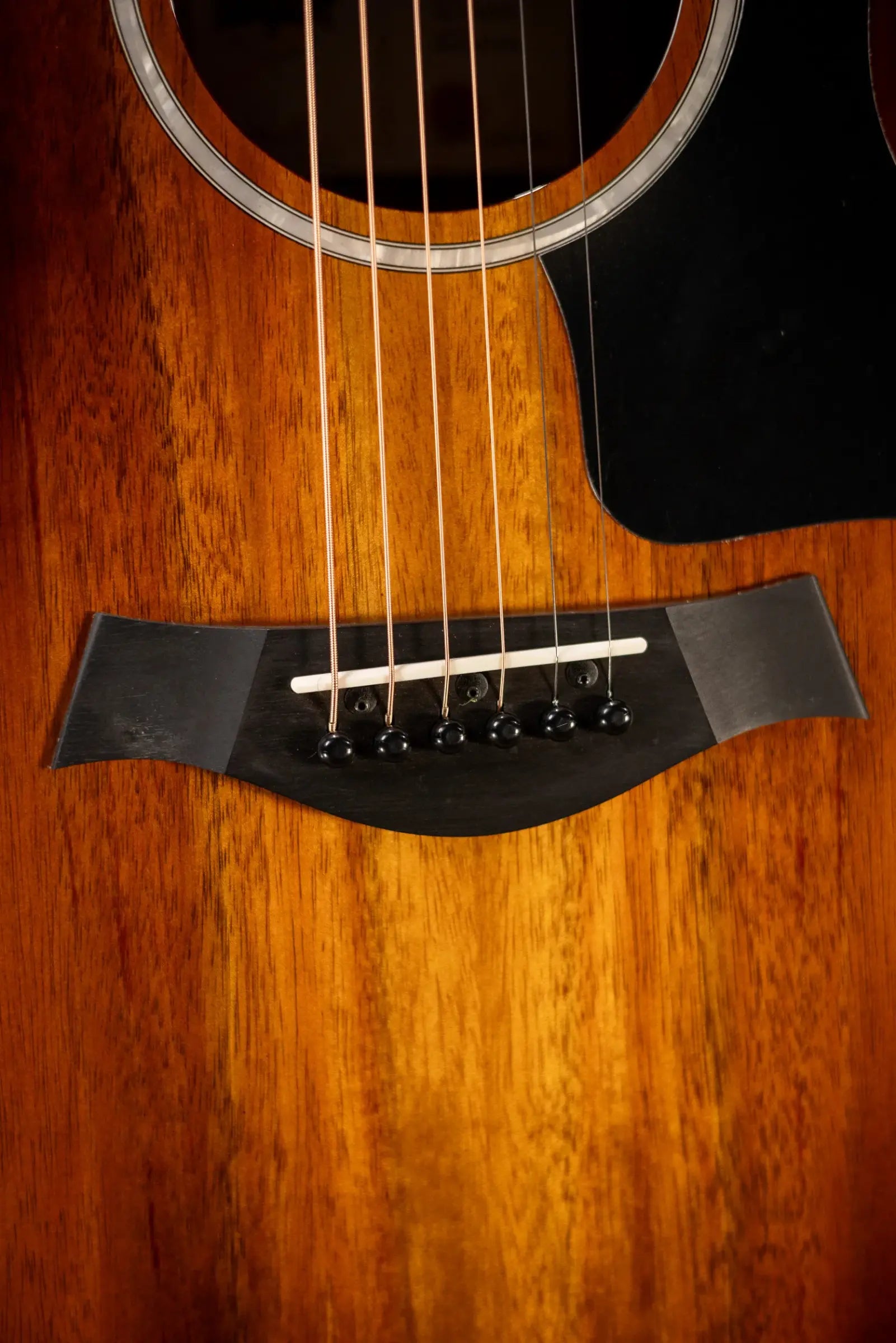 Taylor 224ce-K DLX Grand Auditorium Acoustic/Electric Guitar with Hardshell Case