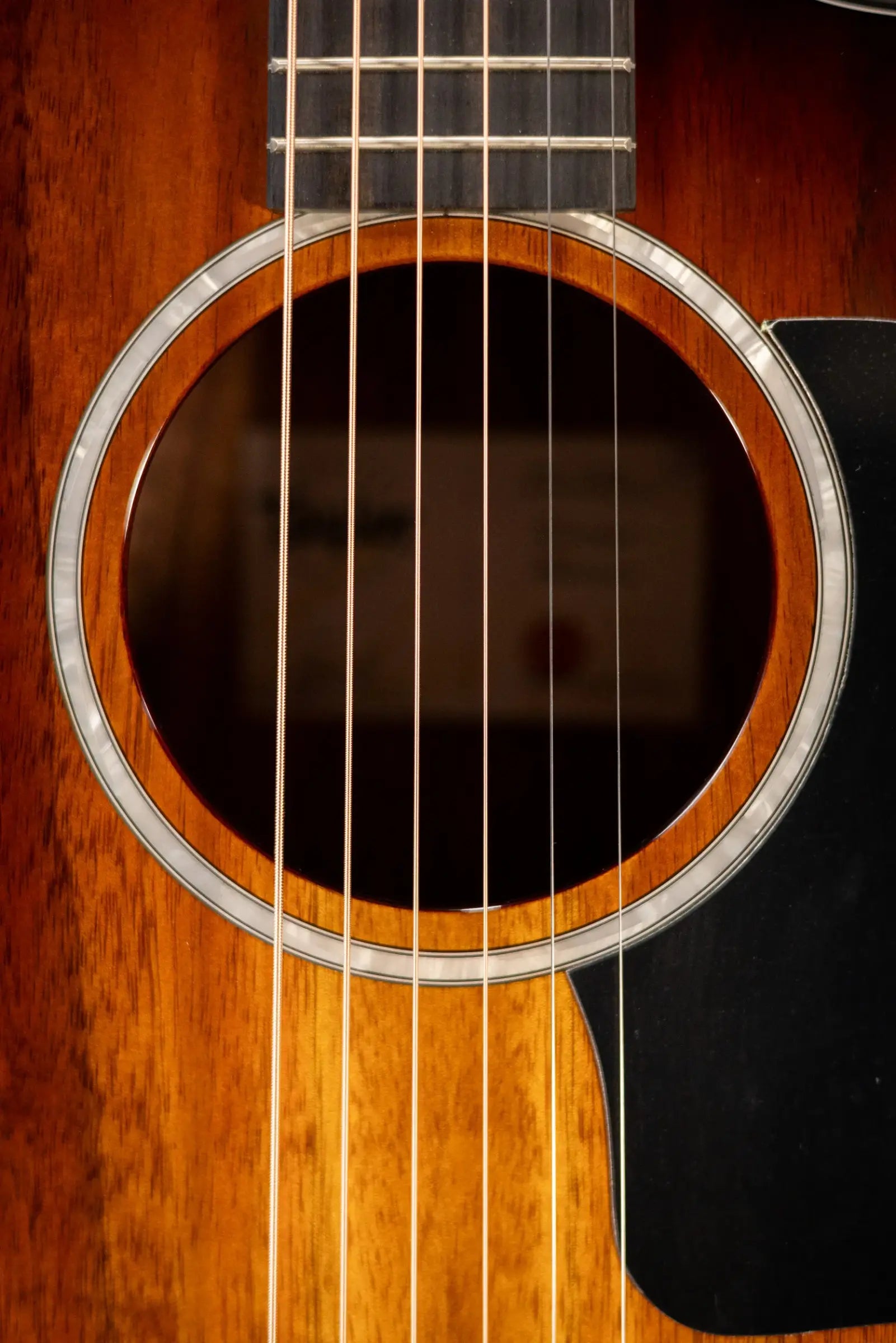 Taylor 224ce-K DLX Grand Auditorium Acoustic/Electric Guitar with Hardshell Case