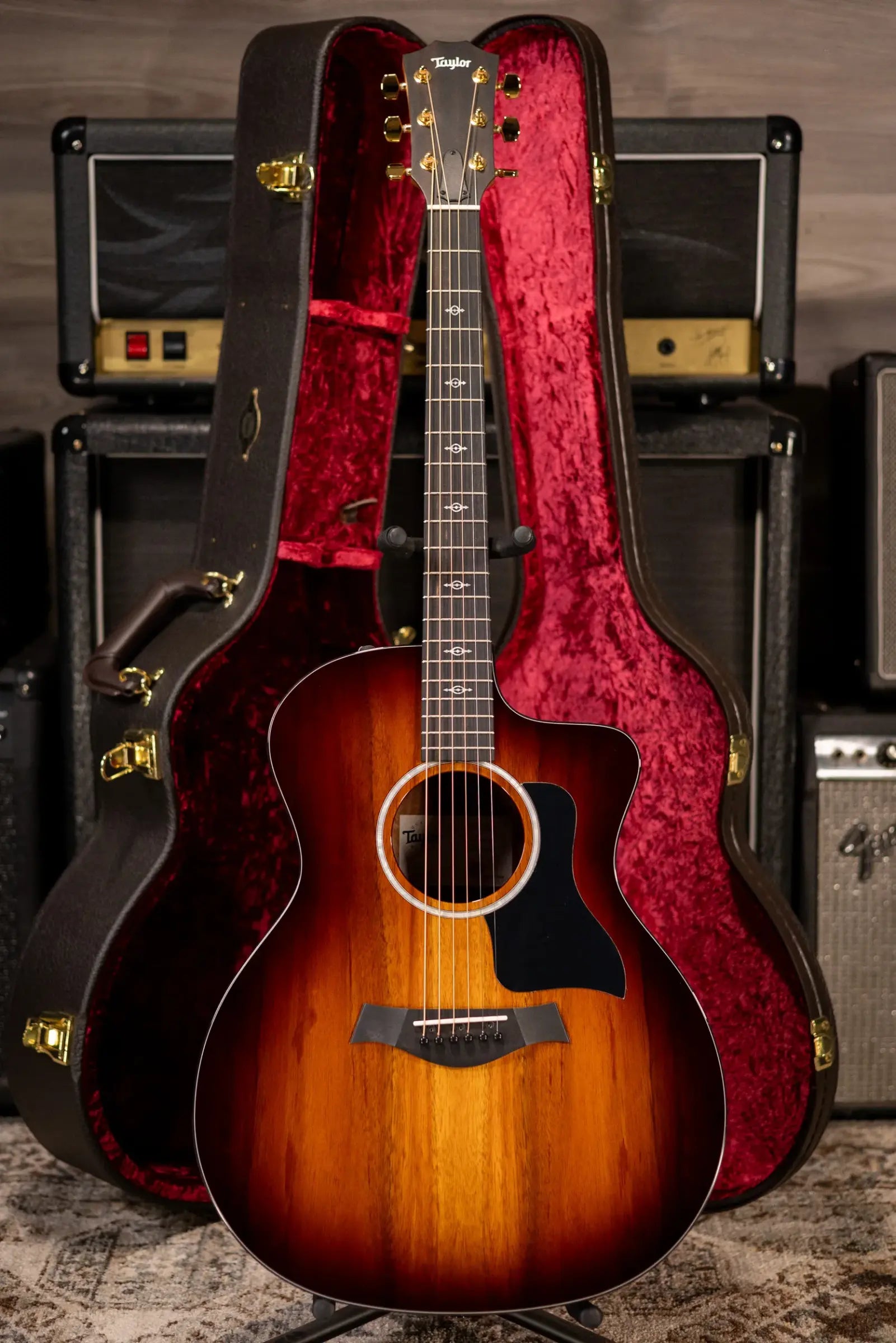Taylor 224ce-K DLX Grand Auditorium Acoustic/Electric Guitar with Hardshell Case