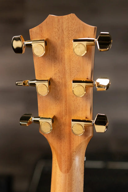 Taylor 224ce-K DLX Grand Auditorium Acoustic/Electric with Hardshell Case