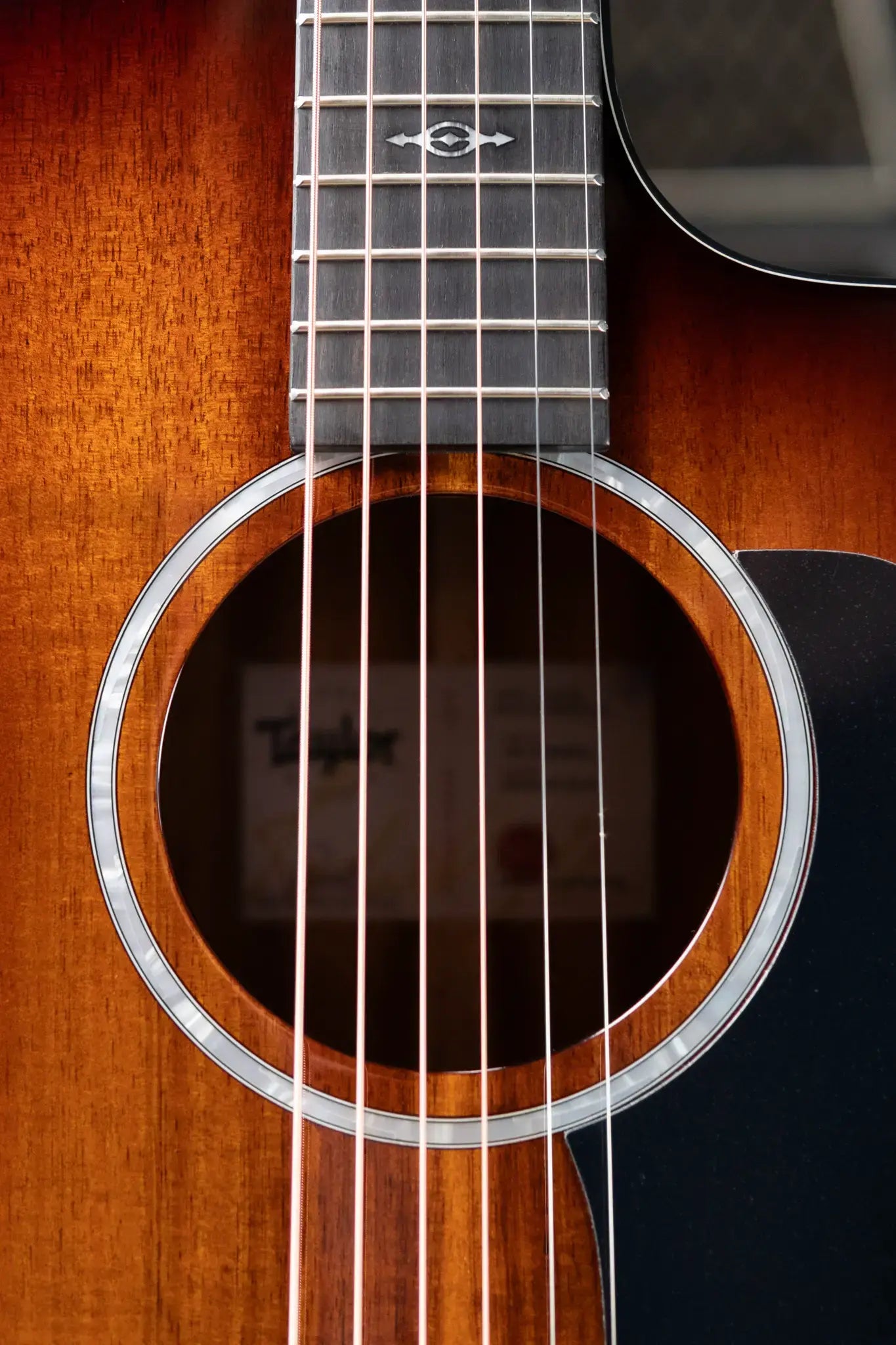 Taylor 224ce-K DLX Grand Auditorium Acoustic/Electric with Hardshell Case