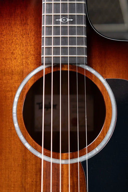 Taylor 224ce-K DLX Grand Auditorium Acoustic/Electric with Hardshell Case