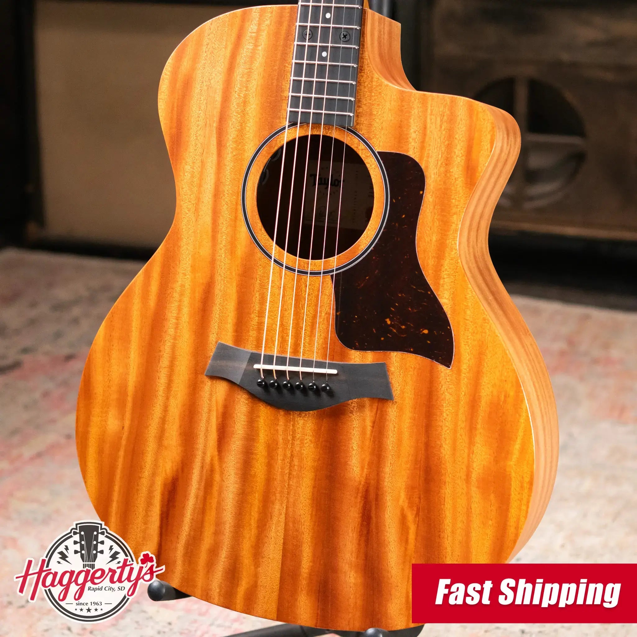 Taylor 24ce Grand Auditorium Acoustic/Electric Guitar with Gig Bag