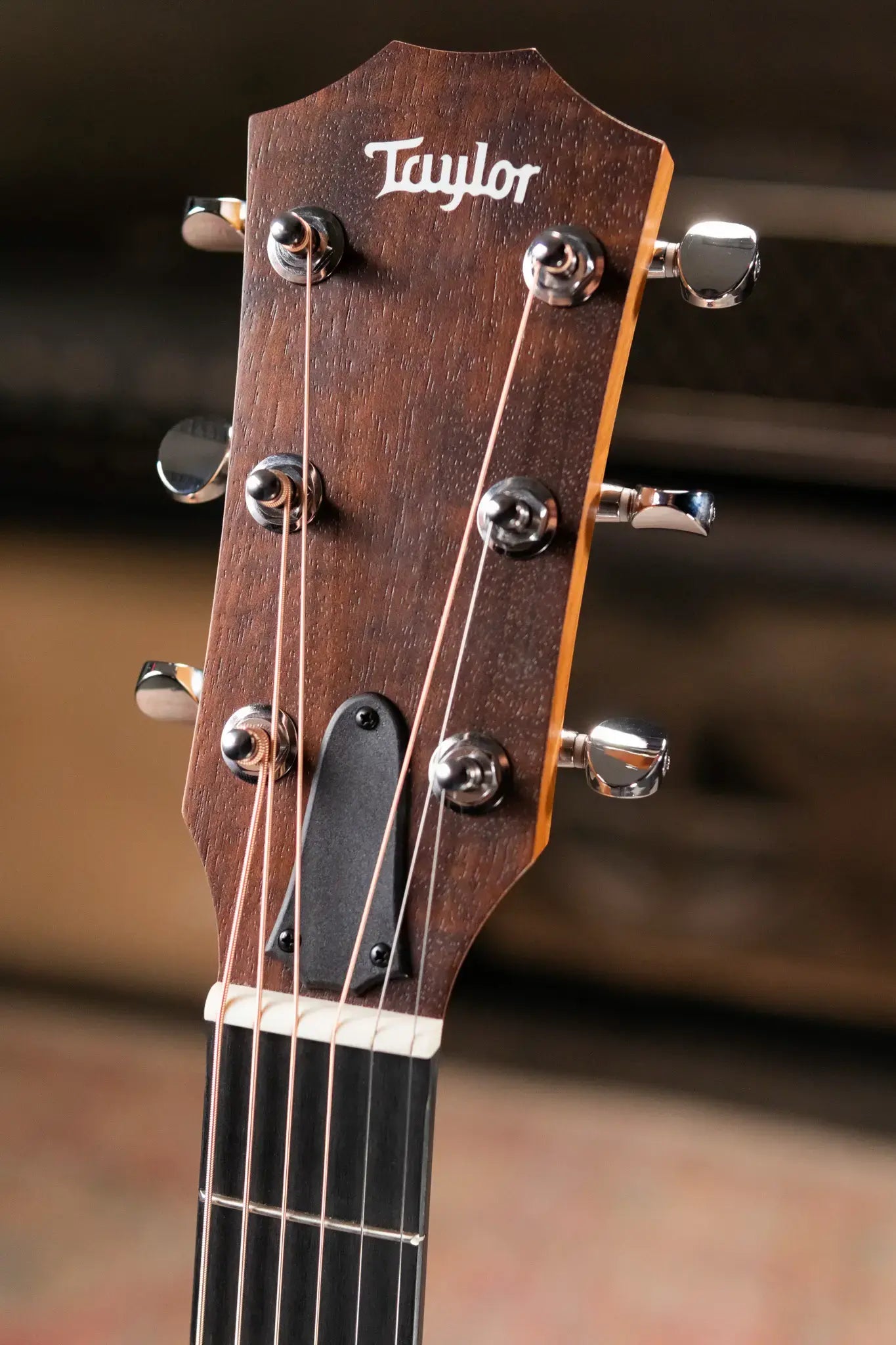 Taylor 24ce Grand Auditorium Acoustic/Electric Guitar with Gig Bag