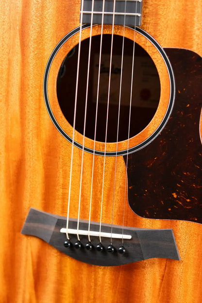 Taylor 24ce Grand Auditorium Acoustic/Electric Guitar with Gig Bag