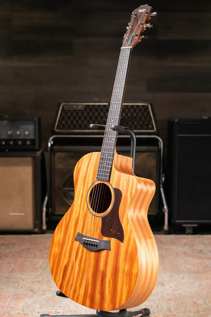 Taylor 24ce Grand Auditorium Acoustic/Electric Guitar with Gig Bag