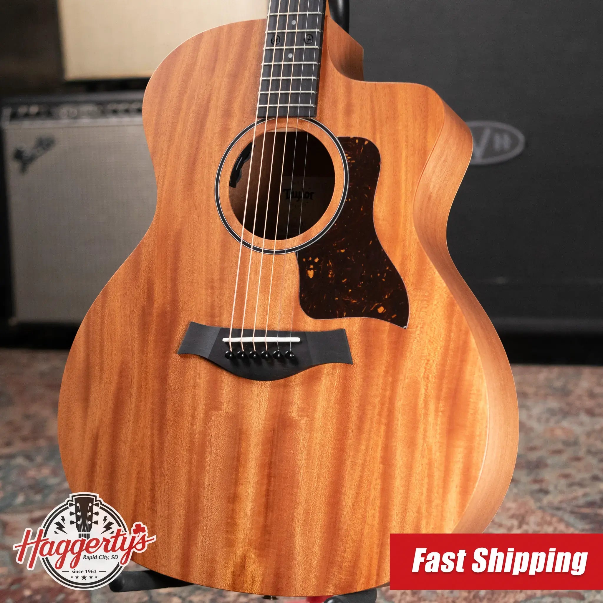 Taylor 24ce Grand Auditorium Acoustic/Electric Guitar with Gig Bag