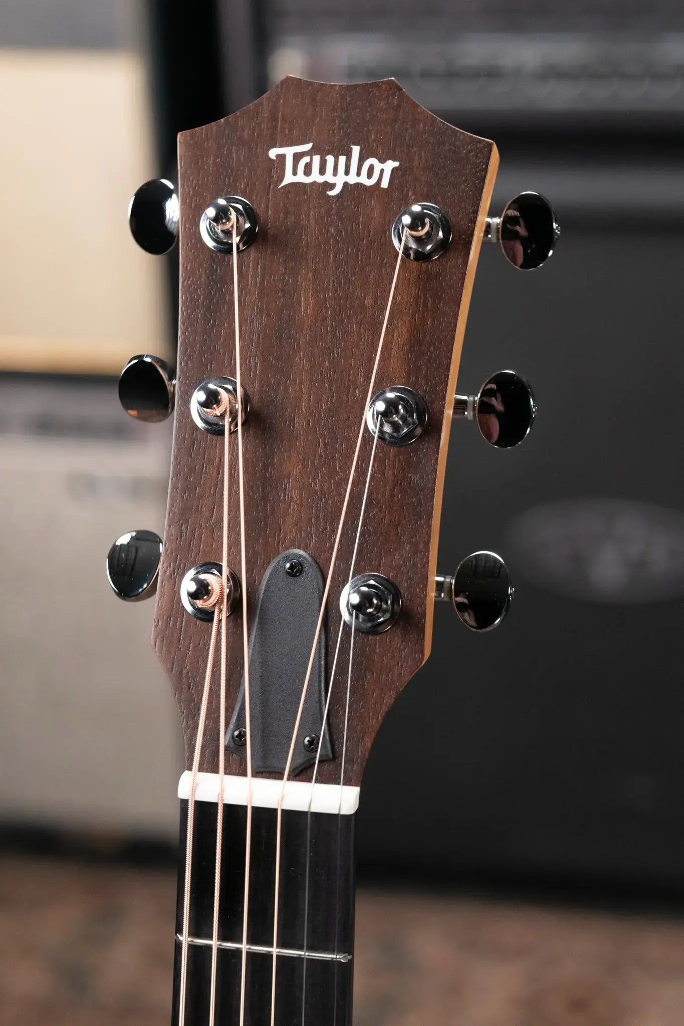 Taylor 24ce Grand Auditorium Acoustic/Electric Guitar with Gig Bag