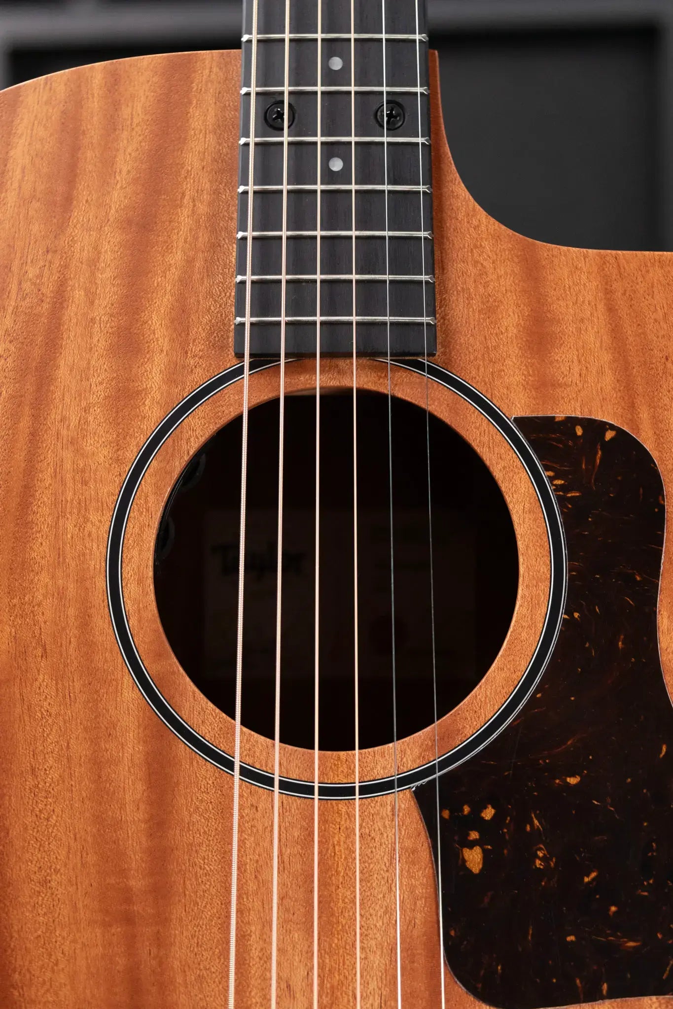 Taylor 24ce Grand Auditorium Acoustic/Electric Guitar with Gig Bag