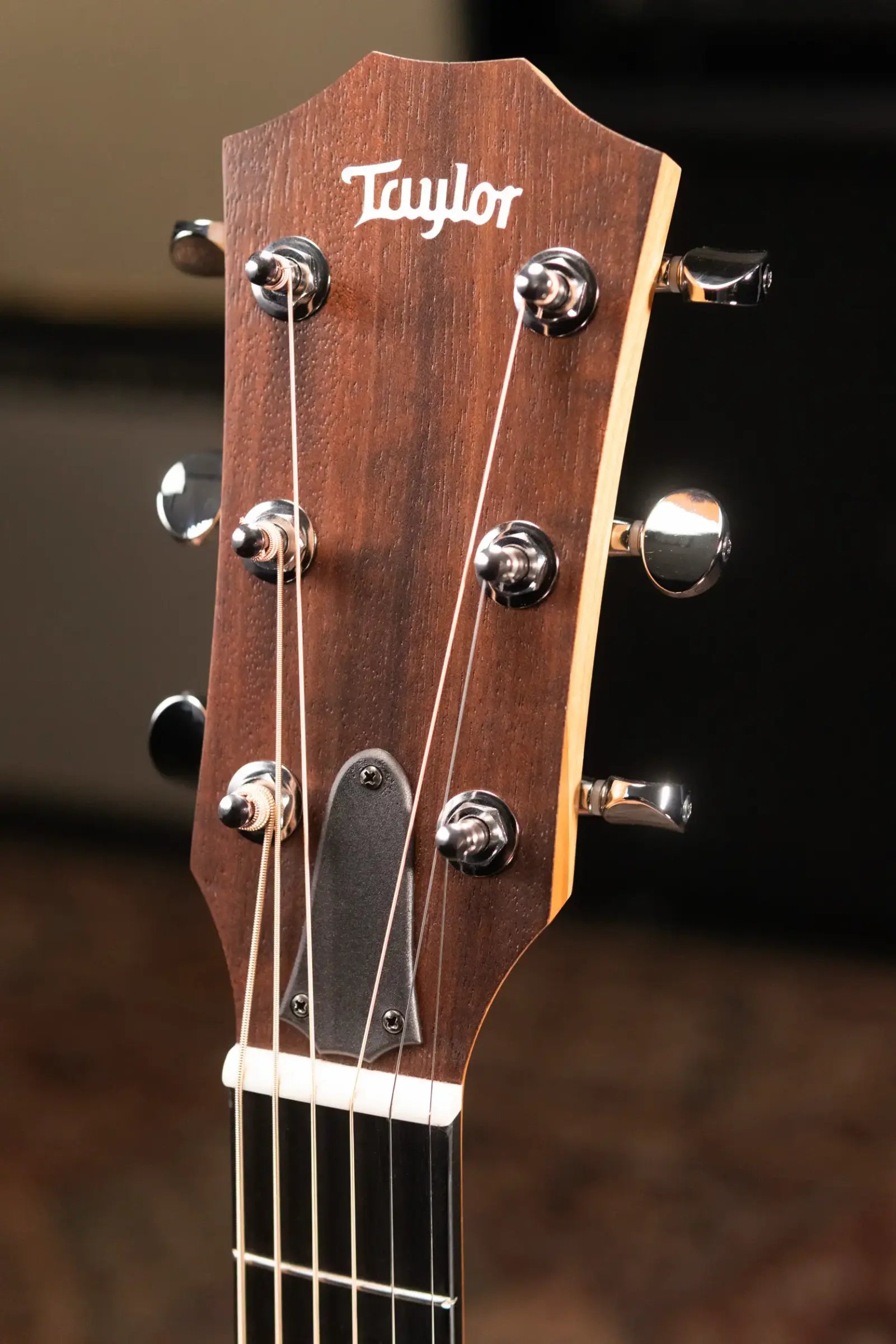 Taylor 24ce Grand Auditorium Acoustic/Electric Guitar with Gig Bag