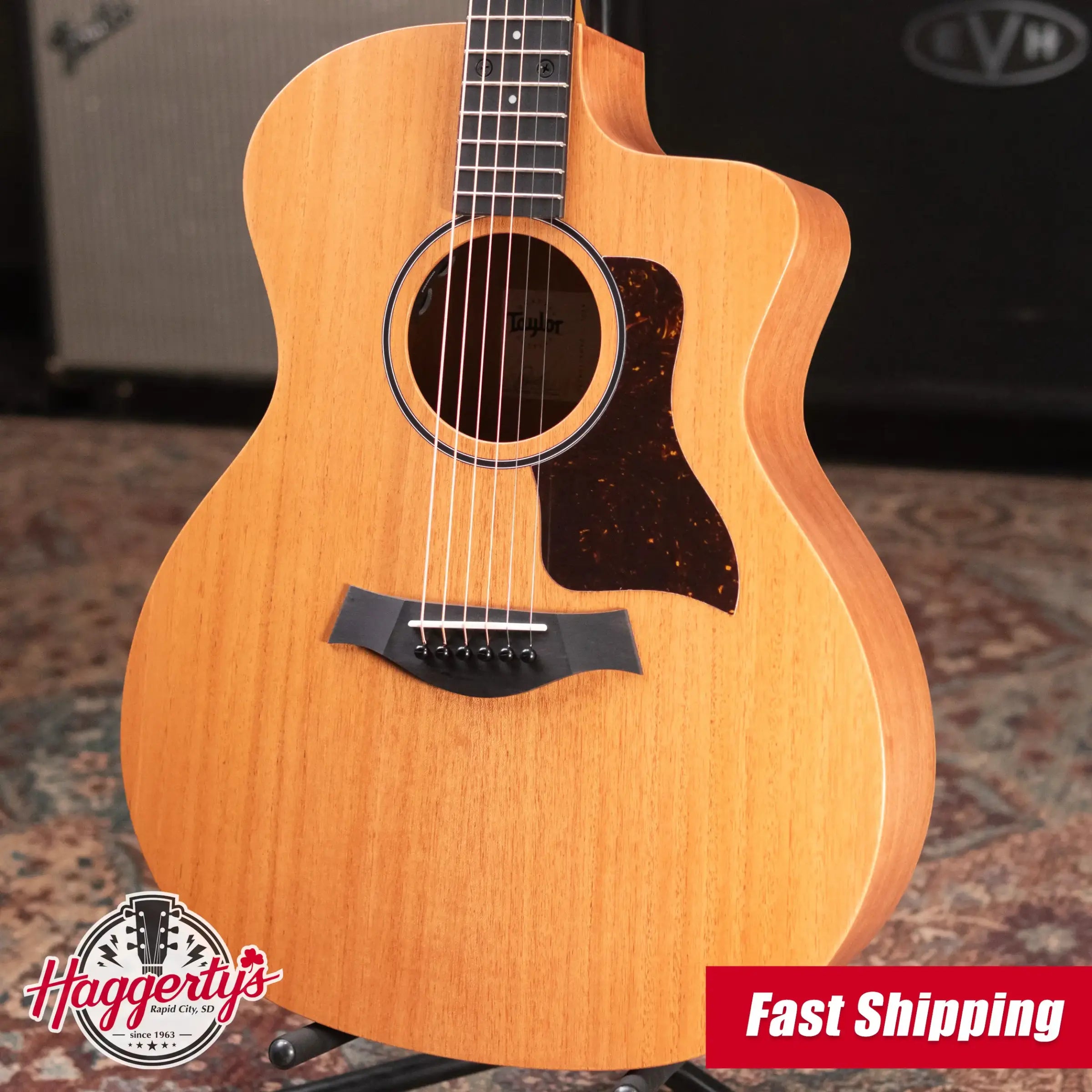 Taylor 24ce Grand Auditorium Acoustic/Electric Guitar with Gig Bag
