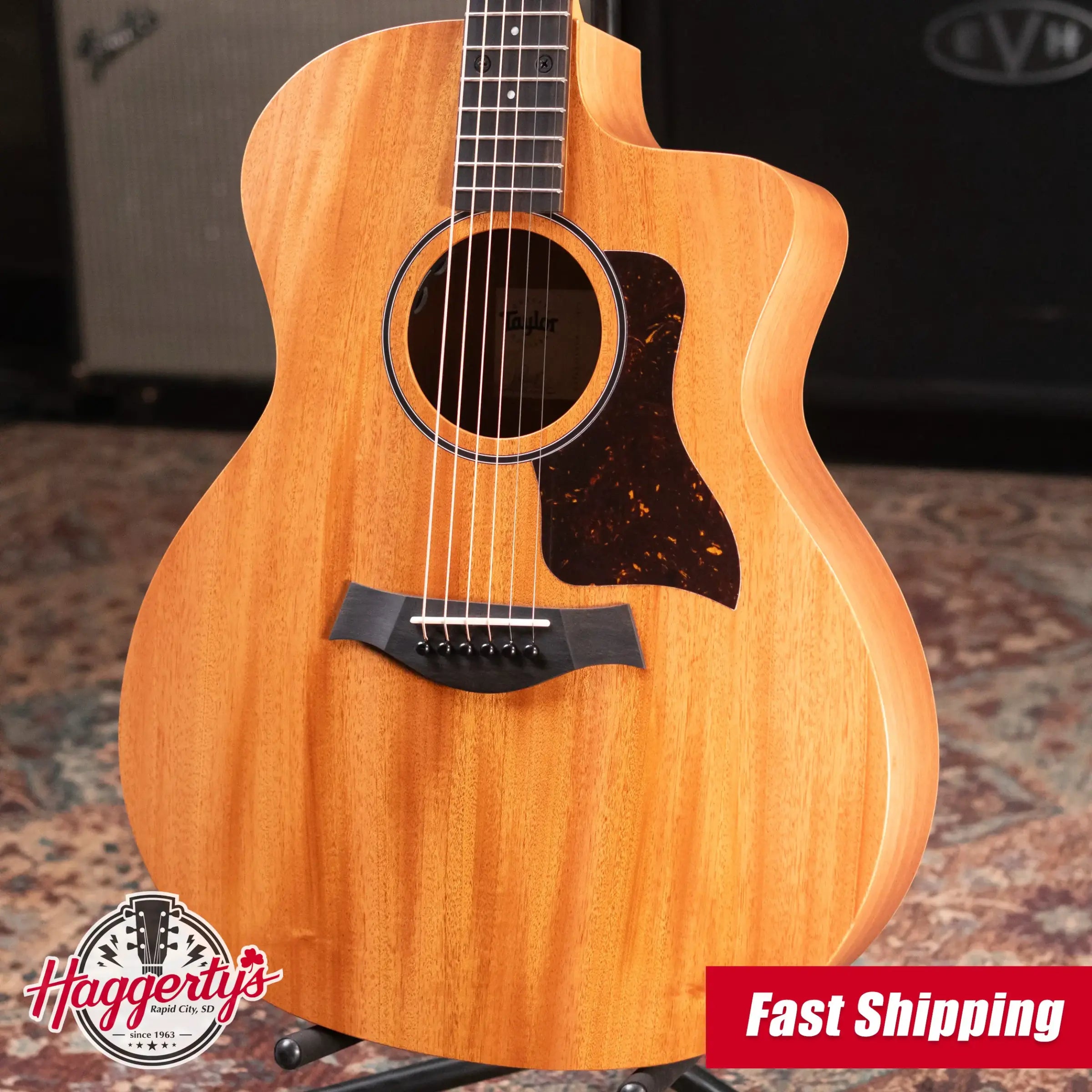 Taylor 24ce Grand Auditorium Acoustic/Electric Guitar with Gig Bag